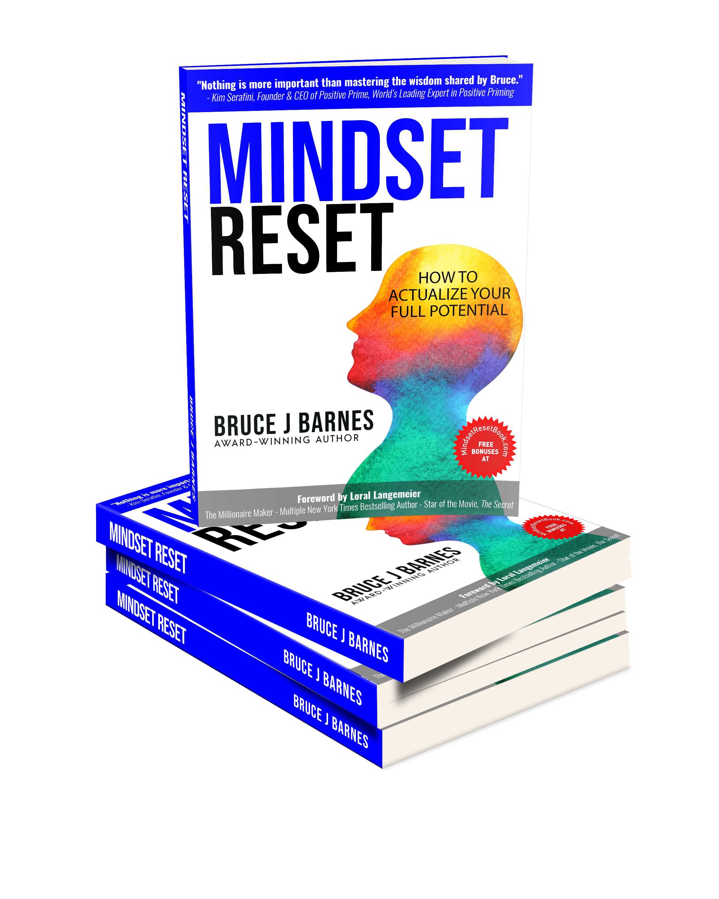 Mindset Reset Book Cover